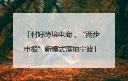 利好跨境电商，“两步申报”新模式落地宁波
