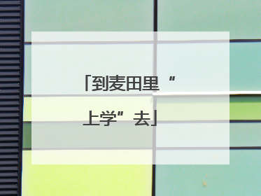 到麦田里“上学”去
