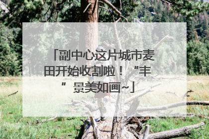 副中心这片城市麦田开始收割啦！“丰”景美如画~