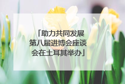 助力共同发展 第八届进博会座谈会在土耳其举办