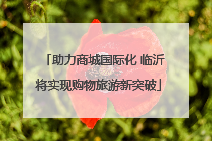 助力商城国际化 临沂将实现购物旅游新突破