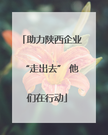 助力陕西企业“走出去” 他们在行动