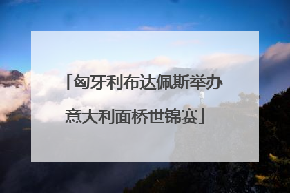 匈牙利布达佩斯举办意大利面桥世锦赛