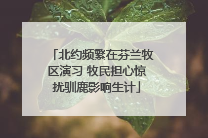 北约频繁在芬兰牧区演习 牧民担心惊扰驯鹿影响生计