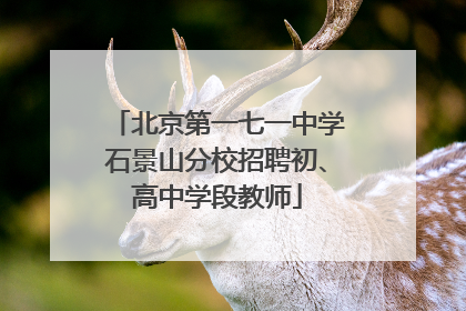 北京第一七一中学石景山分校招聘初、高中学段教师
