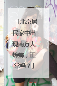 北京居民家中出现南方大蟑螂，正常吗？