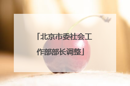 北京市委社会工作部部长调整