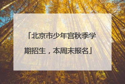 北京市少年宫秋季学期招生，本周末报名