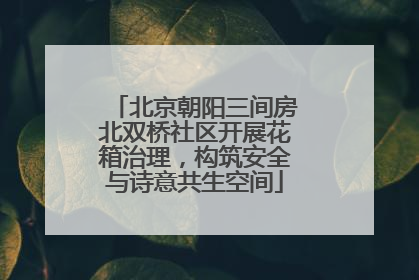 北京朝阳三间房北双桥社区开展花箱治理，构筑安全与诗意共生空间