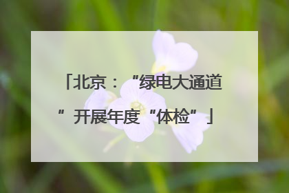 北京：“绿电大通道”开展年度“体检”