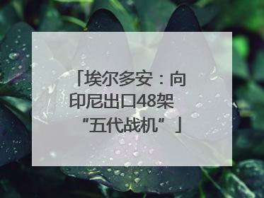 埃尔多安：向印尼出口48架“五代战机”