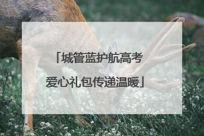城管蓝护航高考 爱心礼包传递温暖