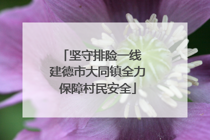 坚守排险一线 建德市大同镇全力保障村民安全