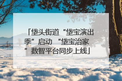 垡头街道“垡宝演出季”启动 “垡宝治家”数智平台同步上线