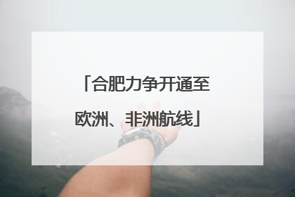 合肥力争开通至欧洲、非洲航线
