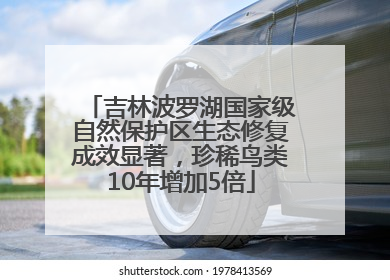 吉林波罗湖国家级自然保护区生态修复成效显著，珍稀鸟类10年增加5倍