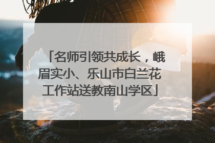 名师引领共成长，峨眉实小、乐山市白兰花工作站送教南山学区