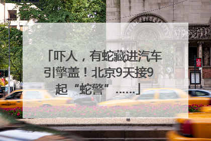 吓人，有蛇藏进汽车引擎盖！北京9天接9起“蛇警”……