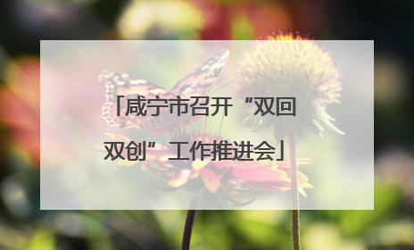 咸宁市召开“双回双创”工作推进会