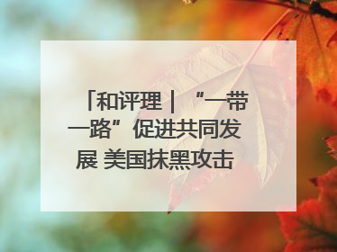和评理｜“一带一路”促进共同发展 美国抹黑攻击酸味十足