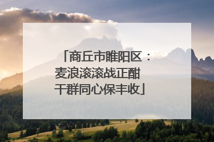 商丘市睢阳区：麦浪滚滚战正酣 干群同心保丰收