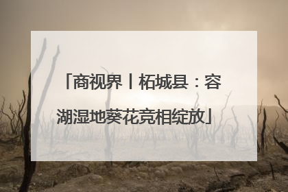 商视界丨柘城县：容湖湿地葵花竞相绽放