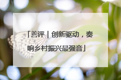 善评｜创新驱动，奏响乡村振兴最强音