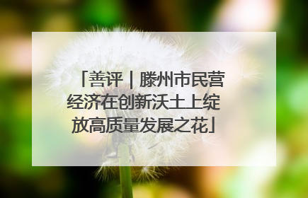 善评｜滕州市民营经济在创新沃土上绽放高质量发展之花