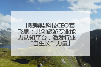 嗯噢哇科技CEO窦飞鹏：共创旅游专业能力认知平台，激发行业“自生长”力量