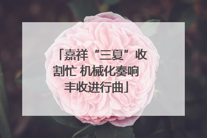 嘉祥“三夏”收割忙 机械化奏响丰收进行曲