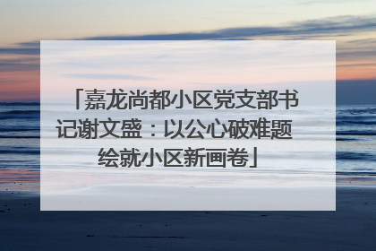 嘉龙尚都小区党支部书记谢文盛：以公心破难题 绘就小区新画卷