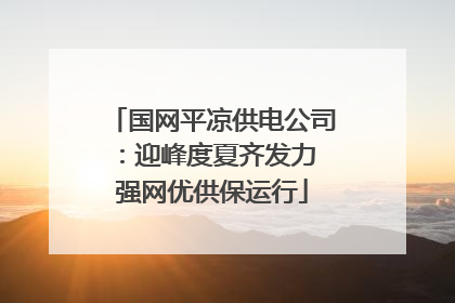 国网平凉供电公司：迎峰度夏齐发力 强网优供保运行