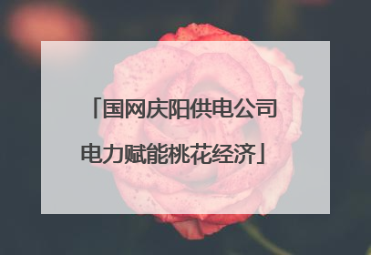 国网庆阳供电公司电力赋能桃花经济