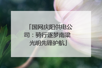 国网庆阳供电公司：骑行逐梦南梁 光明先锋护航