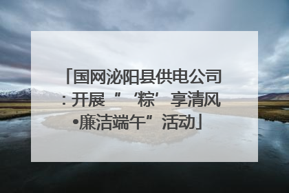 国网泌阳县供电公司：开展“‘粽’享清风 •廉洁端午”活动