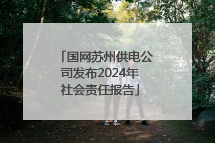 国网苏州供电公司发布2024年社会责任报告