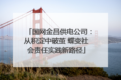 国网金昌供电公司：从积淀中破茧 蝶变社会责任实践新路径