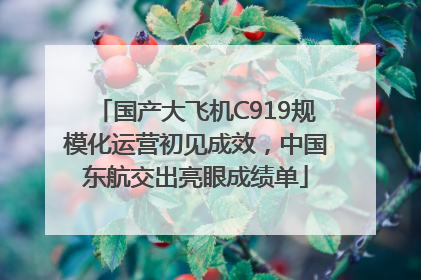 国产大飞机C919规模化运营初见成效，中国东航交出亮眼成绩单
