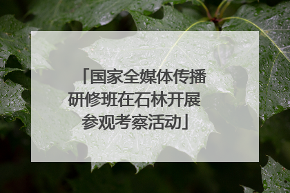 国家全媒体传播研修班在石林开展参观考察活动