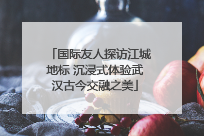 国际友人探访江城地标 沉浸式体验武汉古今交融之美