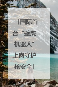 国际首台“壁虎机器人”上岗守护核安全