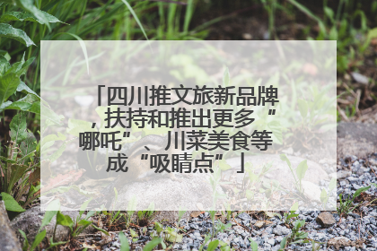 四川推文旅新品牌，扶持和推出更多“哪吒”、川菜美食等成“吸睛点”