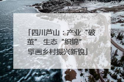 四川芦山：产业“破茧” 生态“织锦” 擘画乡村振兴新貌