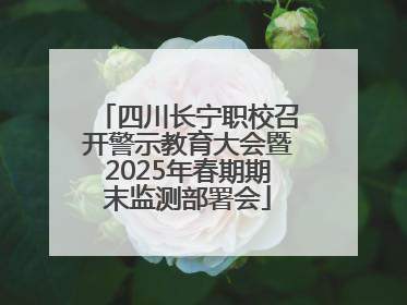 四川长宁职校召开警示教育大会暨2025年春期期末监测部署会