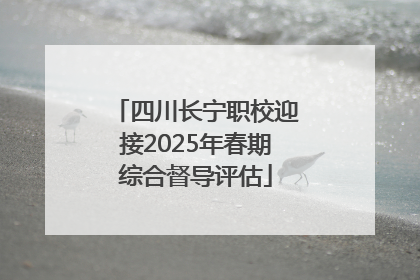 四川长宁职校迎接2025年春期综合督导评估