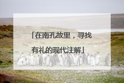 在南孔故里，寻找有礼的现代注解