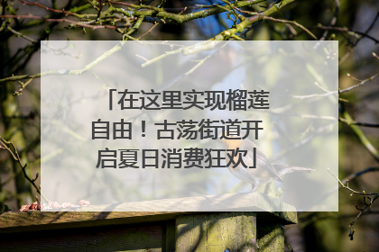 在这里实现榴莲自由！古荡街道开启夏日消费狂欢