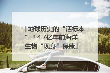 地球历史的“活标本”！4.7亿年前海洋生物“现身”保康