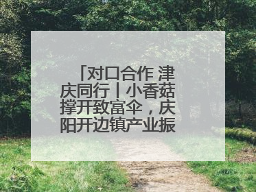 对口合作 津庆同行丨小香菇撑开致富伞，庆阳开边镇产业振兴有“蘑”力