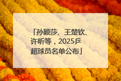 孙颖莎、王楚钦、许昕等，2025乒超球员名单公布
